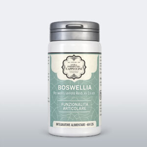 Boswellia serrata, integratore per la funzionalità articolare