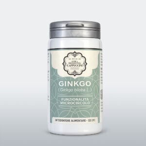 Ginkgo biloba, integratore per il microcircolo, funzioni cognitive e memoria